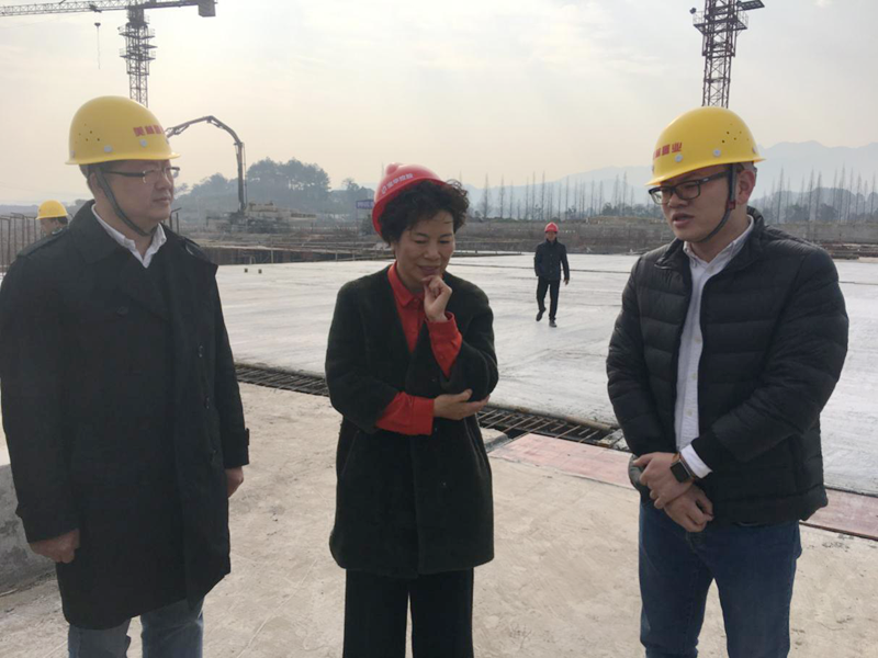 麗水市委常委、宣傳部長(zhǎng)任淑女調(diào)研松陽美林·南城壹號(hào)項(xiàng)目