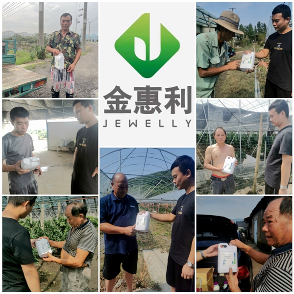 寧波金惠利為臺風受災地區(qū)“農友會”成員送溫暖